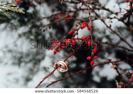 wedding rings on a branch of wild rose in snow.