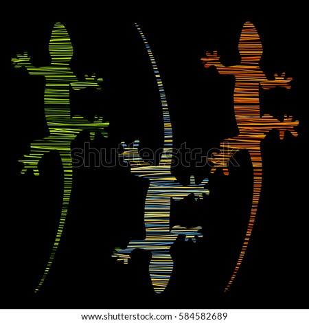 Colored lizard on a black background. Lizard of hatched lines for you design.