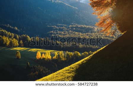 Sunny day in Ssnta Magdalena village. Picturesque and gorgeous scene. Location famous place Funes valley, Dolomiti Alps. Province of Bolzano - South Tyrol, Italy. Europe. Beauty world.