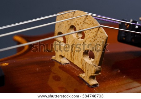 wooden violin part on black background, macro