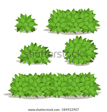Set of Various Isolated Bush.Different Shape of Bush Vector Illustration. Royalty-Free Stock Photo #584922907