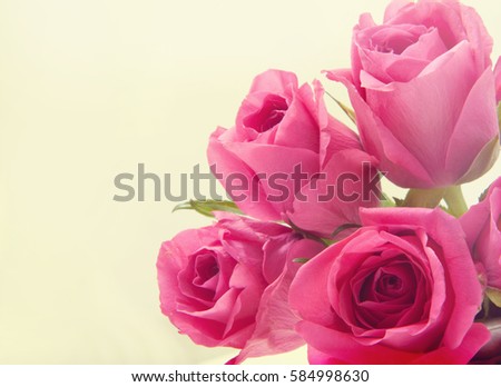 Background with roses. toned photo