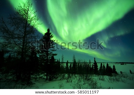 Night sky lit up with aurora borealis, northern lights, Wapusk national park, Manitoba, Canada.