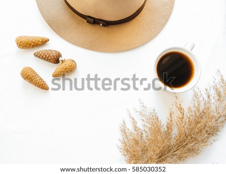 Brown hat, bumps, reeds and black coffee on a white background