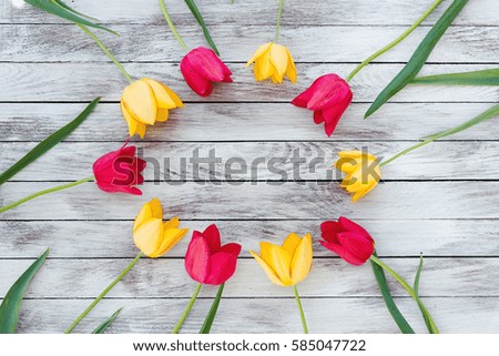 Colorful tulips on wooden planks. Space for text.