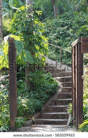 Stairs in the woods