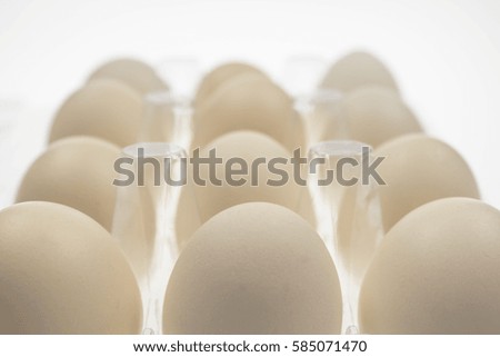 the eggs isolated on white background