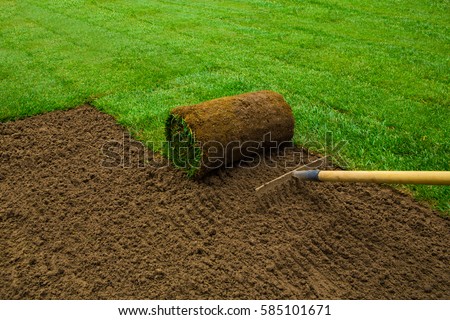 Gardener applying turf rolls in the backyard Royalty-Free Stock Photo #585101671