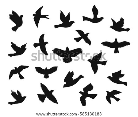 Set of bird flying silhouettes. Eagle, falcon, hawk, dove, swallow, raven, swift and others. Vector illustration