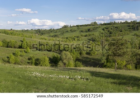 Green hills and the amazing skyline of Ukraine under the blue sky and white clouds.