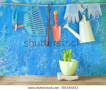 gardening tools and young hyacinth flower, springtime gardening, good copy space