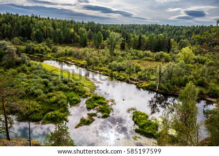 Panorama of the natural landscape. Over the pine forest. Wild nature of Russia.