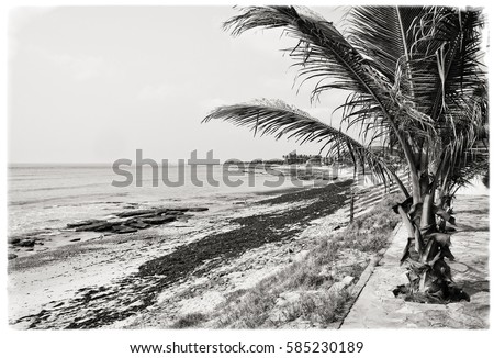 Beautiful vintage seascape. Relax in remote areas. Black White Photography. Old photo. Retro postcard. Secluded beach. Stunning African nature. Travel & Vacation. 