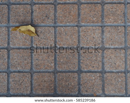 Leaf with grid tile background