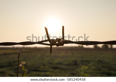 arbed wire abstract background in field 