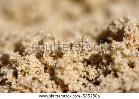 Texture of sand - depth of field