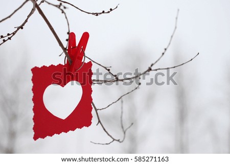 Red heart decoration hanging on a branch, Valentine day concept.  