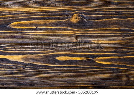 Different wood structure, blank template, abstract background. Studio Photo
