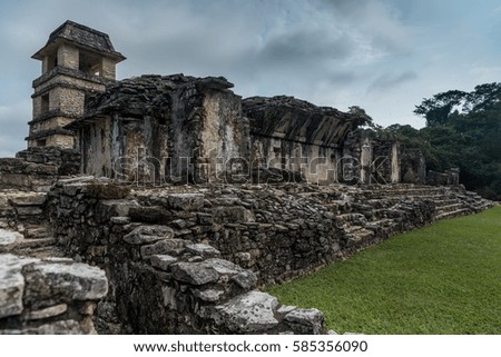 The ruins of the ancient city of Palenque. Mexico.