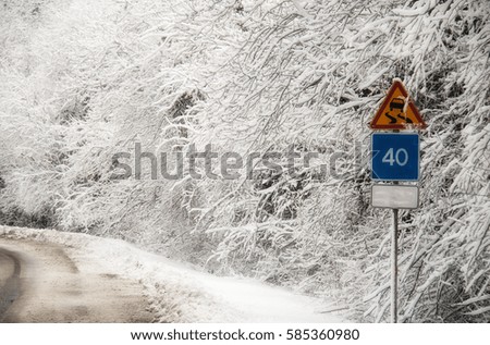 Highway in the snow