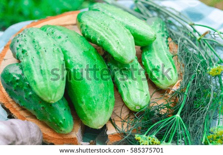 cucumber with different herbs