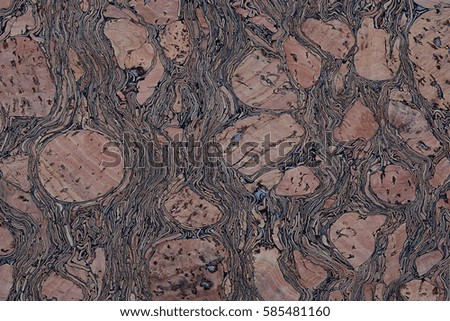 wooden texture background pattern with high resolution