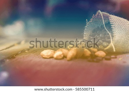 In selective focus of coffee bean in sack fall and dry almonds with sunny on wooden table outdoor background- Vintage effect style pictures