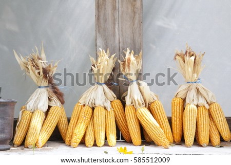 Sweet corn vintage