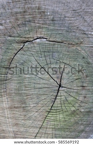 Bark texture background material