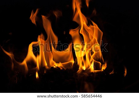 fire flames for background. Camping vacation food cooking