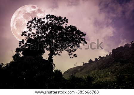 Silhouettes of tree with dark sky on tranquil nature background. Nighttime and super moon. Landscape in the evening, full moon behind trees. Vintage effect tone. 