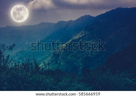 Mountain peaks. Silhouettes of trees with night sky and beautiful full moon over tranquil nature on dark tone. Beauty landscape at nighttime. Cross process. 