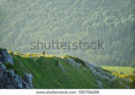Female tourist walk on the horizon in mountains surrounded by green forest and trees