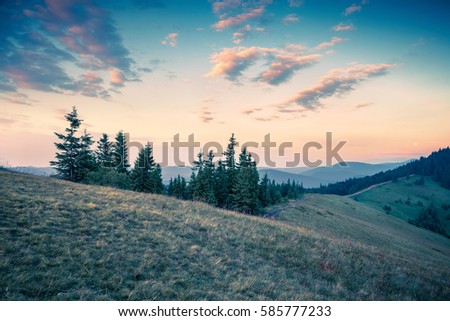 Beautiful summer sunset in the mountains. Last sunlight glowing a hills and valleys in Carpathians, Ukraine, Europe. Green filter toned.
