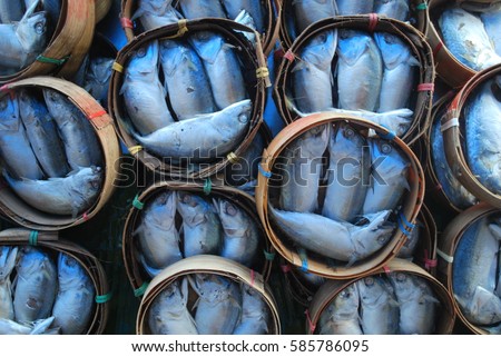 Mackerel, Steam fish