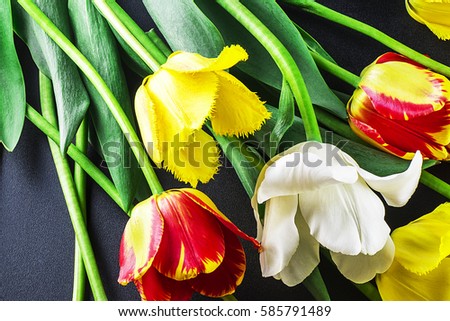 Very beautiful tulips