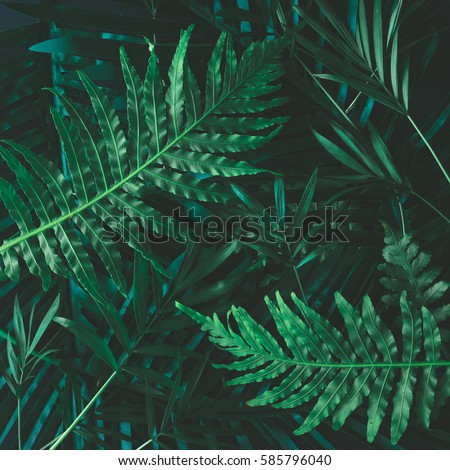 Creative layout made of tropical flowers and leaves. Flat lay. Nature concept Royalty-Free Stock Photo #585796040