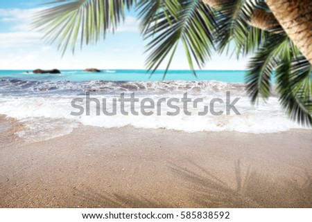 summer background of beach and free space for your decoration 