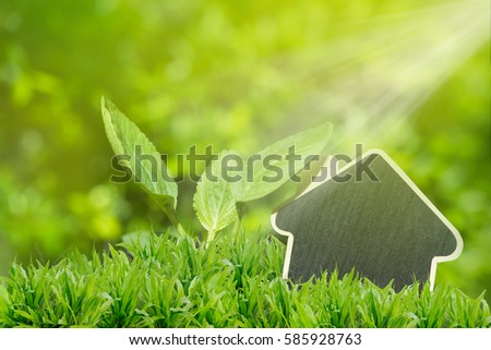 House card board on green grass and small plant background,real estate