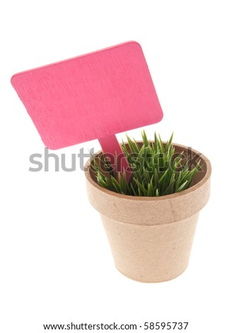 Pot of Grass with Vibrant Pink Sign Isolated on White with a Clipping Path.