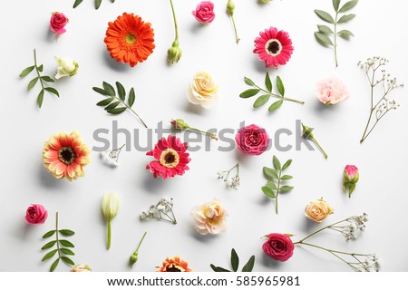 Flat lay of fresh flowers on white background Royalty-Free Stock Photo #585965981