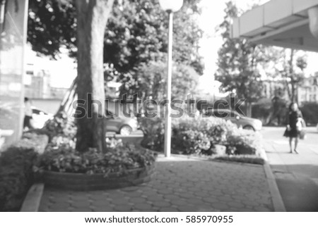 Picture blurred  for background abstract and can be illustration to article of tree in park