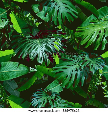 Tropical floral leaves seamless pattern green color on a black jungle background. Natural photo collage green color. Artistic design for floral print and modern wallpaper. Royalty-Free Stock Photo #585975623