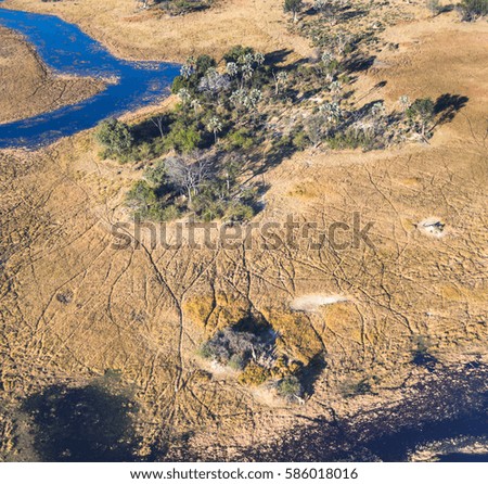Okavango delta (Okavango Grassland) is one of the Seven Natural Wonders of Africa. A herd of giraffes coming to the watering hole (view from the airplane) - Botswana, South-Western Africa