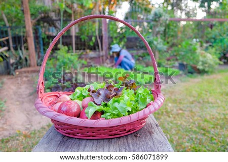 a selective focus picture of a basket with fruits and vegetables inside and blur background of gardener working in green garden