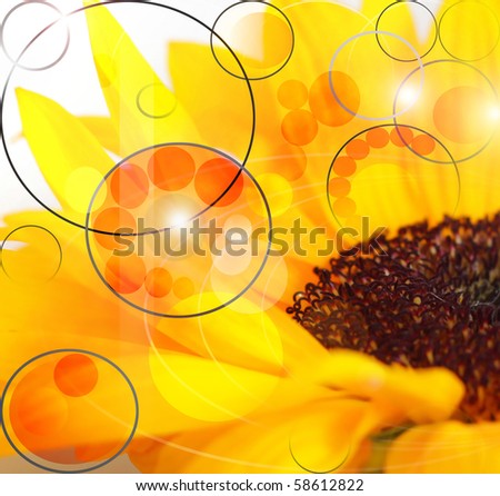 Abstract composition detail close up of yellow sunflower with stylized molecular patterns emanating