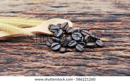 Coffee bean on old wood.