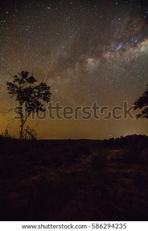  Silhouetted of tree with beautiful scenery of arch milkyway in the early of night at Muadzam Shah, Pahang, Malaysia ( Visible noise due to high ISO, soft focus, shallow DOF, slight motion blur)