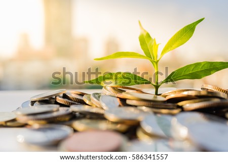 Financial Growth, Plant on pile coins with cityscape background