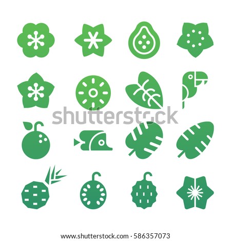 Tropical Vector Icon Set . Flat design, simple shapes.